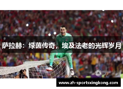 萨拉赫：绿茵传奇，埃及法老的光辉岁月